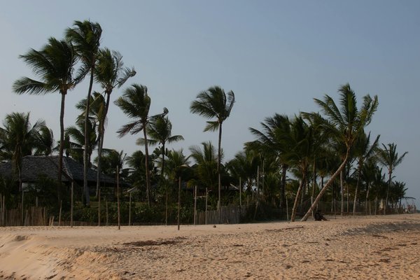 Vivre l'alsace autrement : à la découverte des hôtels d'exception