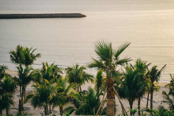 Où louer un vélo à cap ferret : options et conseils pratiques