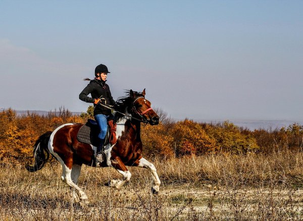 Quels sont les avantages de louer une maison de vacances en Camargue avec des safaris photo et des balades en cheval?